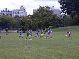 Click to see P9160003.JPG